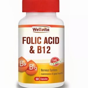 Wellvita Folic + Vit B12